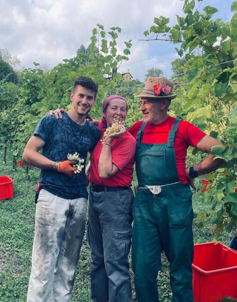 Agriturismo Le Noci Tarzo Экстерьер фото