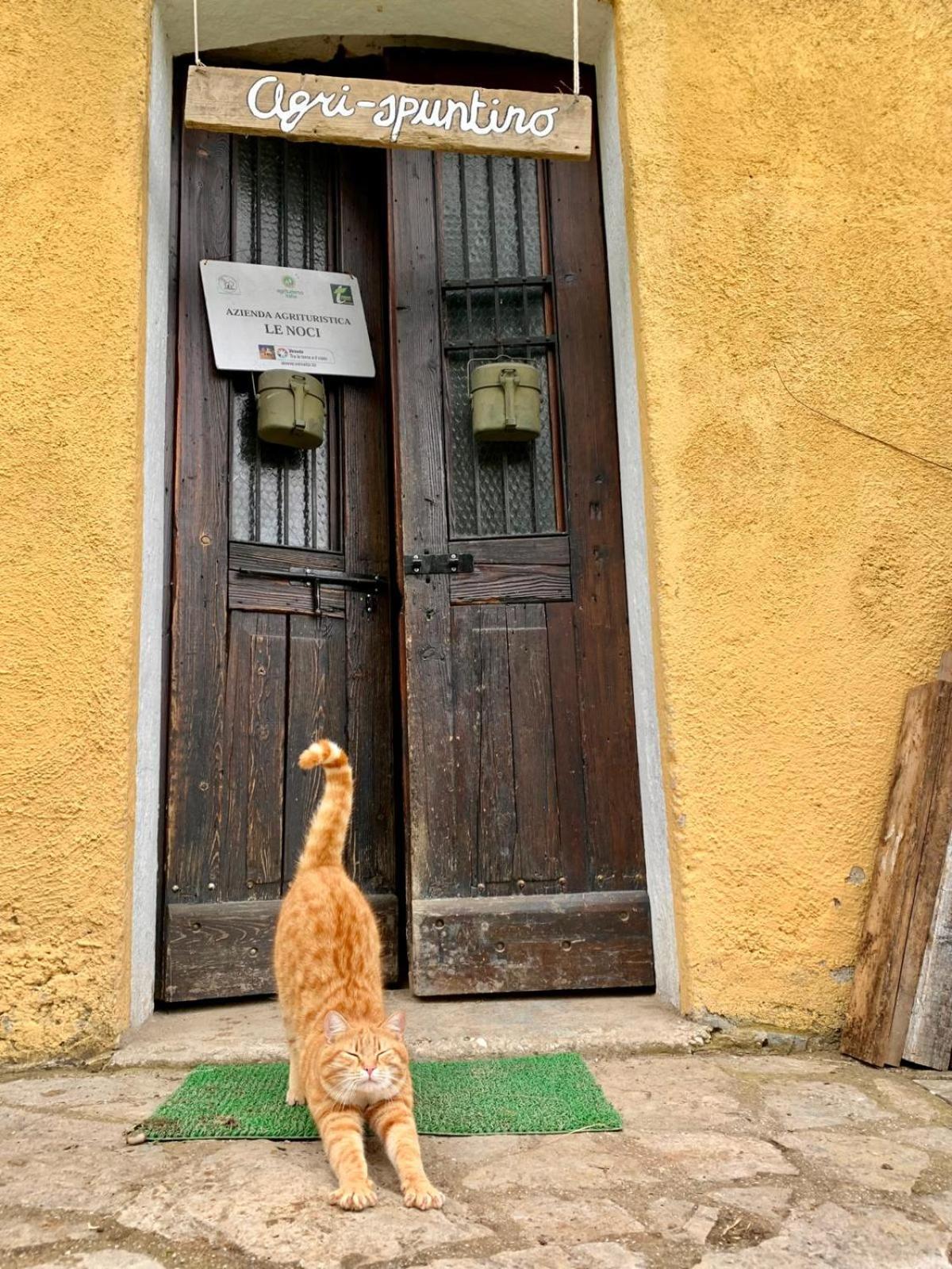 Agriturismo Le Noci Tarzo Экстерьер фото